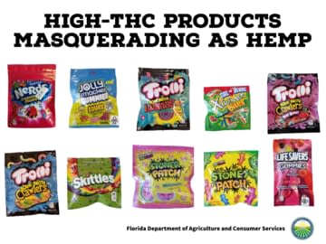 High-THC Products Masquerading as Hemp